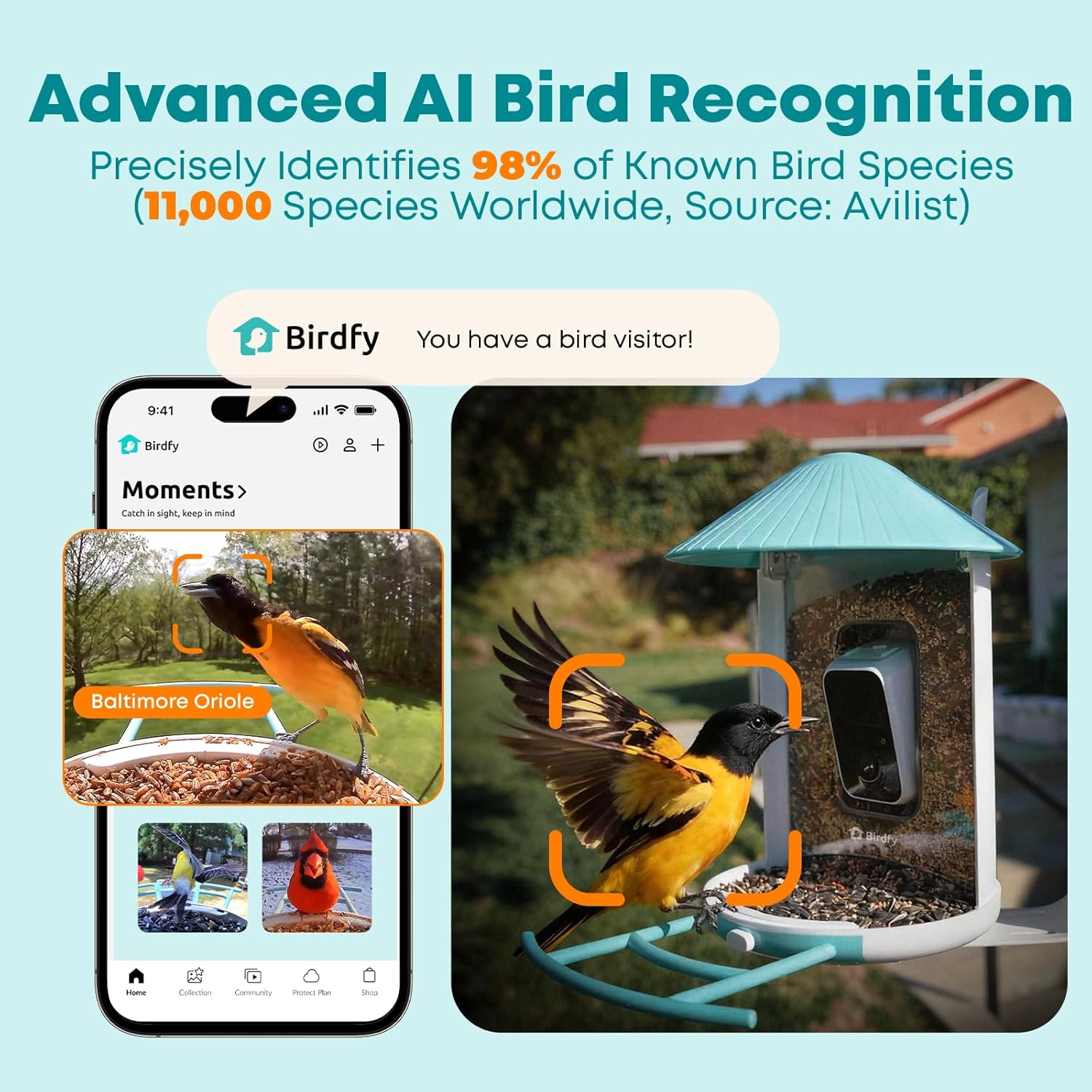 Smart Bird Feeder with AI Came - Smartwatch I Watches incelemesi ve fiyatı