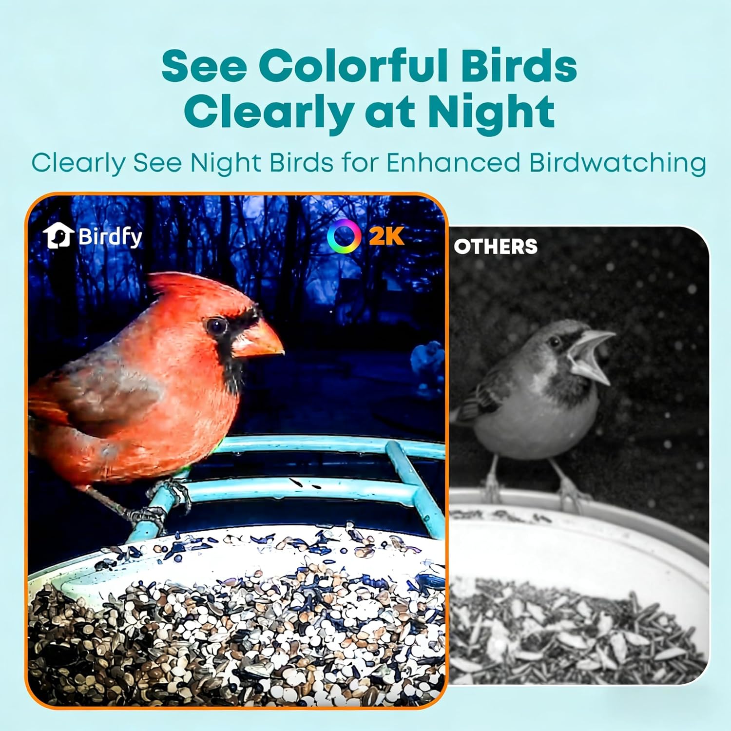 Smart Bird Feeder with AI Came - Smartwatch I Watches incelemesi ve fiyatı